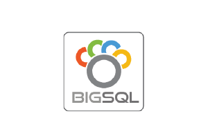 logo BigSQL